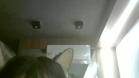 Snapshot of skinnykittencam chatting on 05/18/26, 08:47 skinnykittencam online show from 05/18/26, 08:47