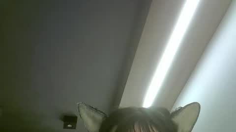 Snapshot of skinnykittencam chatting on 05/19/26, 02:18 skinnykittencam online show from 05/19/26, 02:18