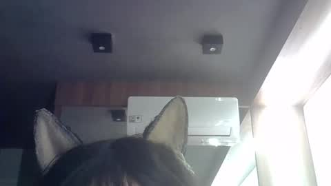 Snapshot of skinnykittencam chatting on 05/21/26, 09:16 skinnykittencam online show from 05/21/26, 09:16