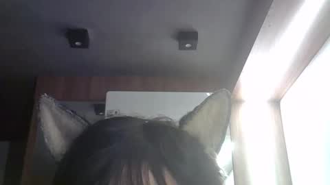 Snapshot of skinnykittencam chatting on 05/22/26, 03:28 skinnykittencam online show from 05/22/26, 03:28