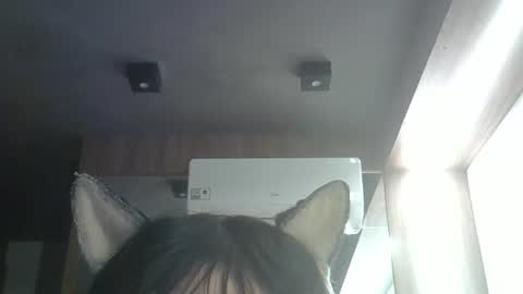 Snapshot of skinnykittencam chatting on 05/23/26, 03:38 skinnykittencam online show from 05/23/26, 03:38
