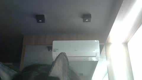 Snapshot of skinnykittencam chatting on 05/24/26, 04:01 skinnykittencam online show from 05/24/26, 04:01
