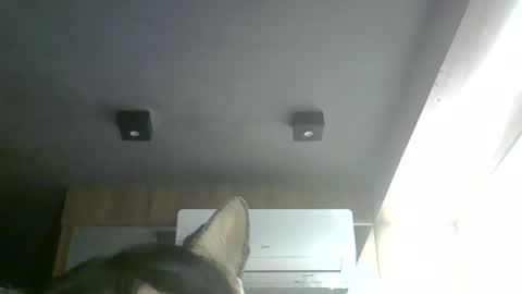 Snapshot of skinnykittencam chatting on 05/28/26, 06:38 skinnykittencam online show from 05/28/26, 06:38