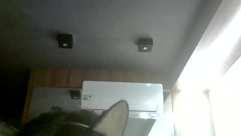 Snapshot of skinnykittencam chatting on 05/31/26, 08:21 skinnykittencam online show from 05/31/26, 08:21