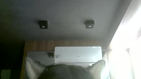 Snapshot of skinnykittencam chatting on 06/01/26, 04:20 skinnykittencam online show from 06/01/26, 04:20