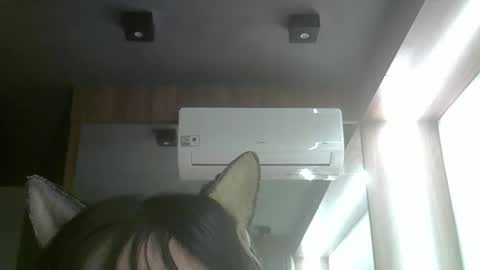 Snapshot of skinnykittencam chatting on 06/03/26, 05:21 skinnykittencam online show from 06/03/26, 05:21