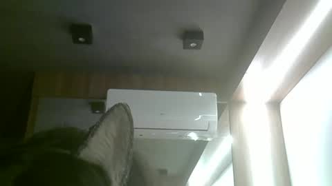 Snapshot of skinnykittencam chatting on 06/03/26, 05:51 skinnykittencam online show from 06/03/26, 05:51