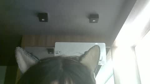 Snapshot of skinnykittencam chatting on 06/05/26, 03:51 skinnykittencam online show from 06/05/26, 03:51