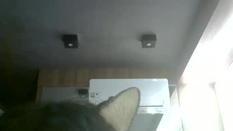 Snapshot of skinnykittencam chatting on 06/06/26, 09:30 skinnykittencam online show from 06/06/26, 09:30