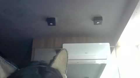 Snapshot of skinnykittencam chatting on 06/08/26, 04:51 skinnykittencam online show from 06/08/26, 04:51