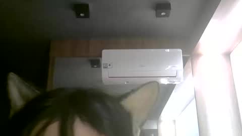 Snapshot of skinnykittencam chatting on 06/11/26, 02:53 skinnykittencam online show from 06/11/26, 02:53
