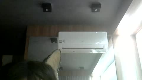 Snapshot of skinnykittencam chatting on 06/12/26, 11:35 skinnykittencam online show from 06/12/26, 11:35