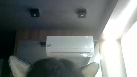 Snapshot of skinnykittencam chatting on 06/17/26, 12:02 skinnykittencam online show from 06/17/26, 12:02