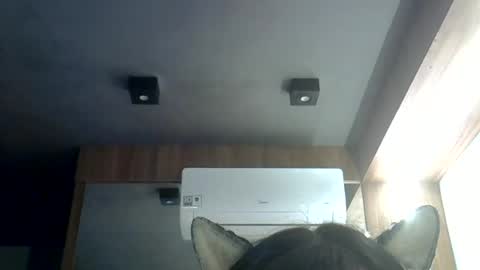 Snapshot of skinnykittencam chatting on 06/19/26, 12:04 skinnykittencam online show from 06/19/26, 12:04
