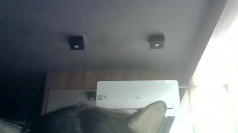 Snapshot of skinnykittencam chatting on 06/23/26, 01:36 skinnykittencam online show from 06/23/26, 01:36
