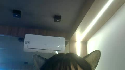 Snapshot of skinnykittencam chatting on 06/23/26, 01:42 skinnykittencam online show from 06/23/26, 01:42