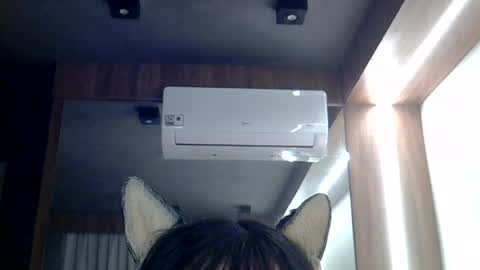 Snapshot of skinnykittencam chatting on 06/26/26, 01:04 skinnykittencam online show from 06/26/26, 01:04