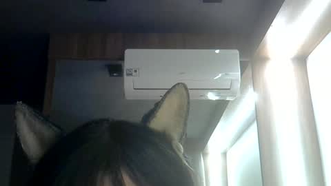 Snapshot of skinnykittencam chatting on 06/29/26, 03:13 skinnykittencam online show from 06/29/26, 03:13