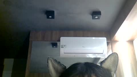 Snapshot of skinnykittencam chatting on 06/29/26, 10:48 skinnykittencam online show from 06/29/26, 10:48