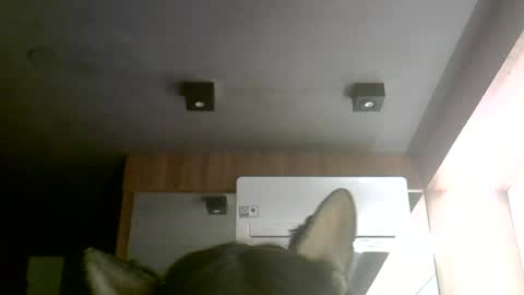 Snapshot of skinnykittencam chatting on 06/30/26, 12:11 skinnykittencam online show from 06/30/26, 12:11