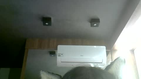 Snapshot of skinnykittencam chatting on 07/02/26, 05:24 skinnykittencam online show from 07/02/26, 05:24