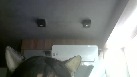 Snapshot of skinnykittencam chatting on 07/08/26, 09:03 skinnykittencam online show from 07/08/26, 09:03