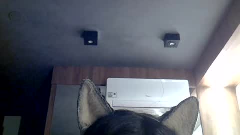 Snapshot of skinnykittencam chatting on 07/12/26, 07:43 skinnykittencam online show from 07/12/26, 07:43