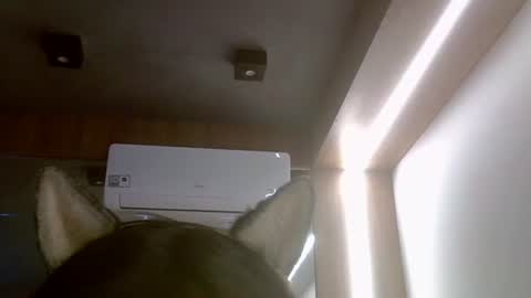 Snapshot of skinnykittencam chatting on 07/16/26, 05:52 skinnykittencam online show from 07/16/26, 05:52
