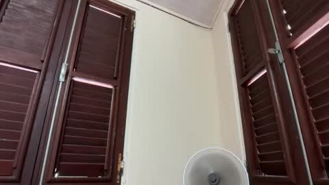 skinnymetiss online show from 09/20/25, 06:31