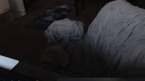 SKYLE   online show from 12/19/24, 05:07