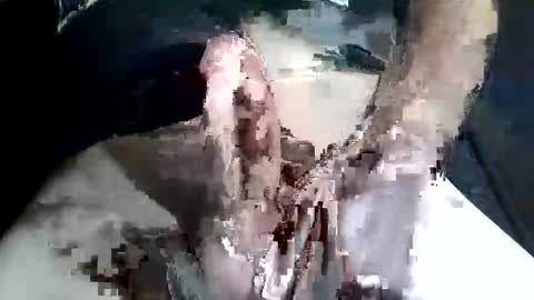 Snapshot of slash1710 chatting on 11/02/25, 09:28 Z online show from 11/02/25, 09:28