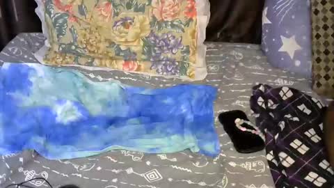 slim_me online show from 05/07/26, 07:36