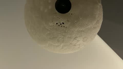 Snapshot of slimguy03 chatting on 01/28/25, 03:25 slimguy03 online show from 01/28/25, 03:25