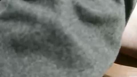 slimsunny online show from 12/04/24, 05:49