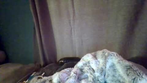 slittiekittie online show from 03/01/26, 07:32