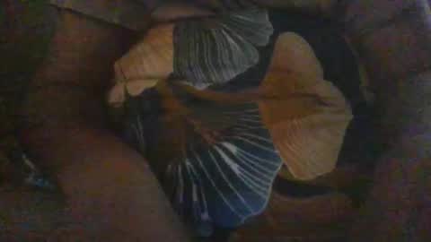 Snapshot of slothslav chatting on 12/18/24, 12:40 slothslav online show from 12/18/24, 12:40