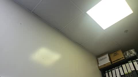 Snapshot of slothslav chatting on 10/28/25, 02:04 slothslav online show from 10/28/25, 02:04