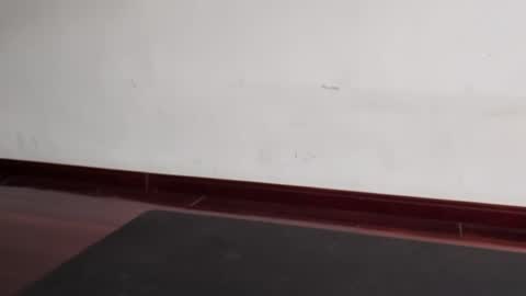 slutfactor online show from 03/31/26, 06:36