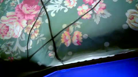 sly_booty4 online show from 11/01/25, 08:44