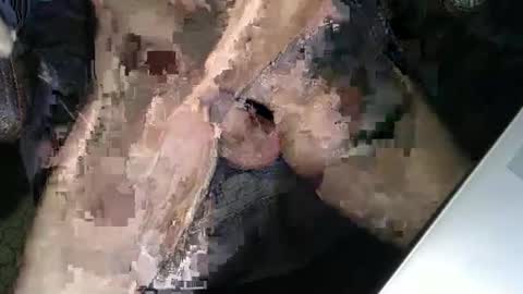 slyfast1 online show from 12/18/25, 05:02