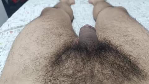 Snapshot of small_dick_12_ chatting on 02/11/25, 02:46 small_dick_12_ online show from 02/11/25, 02:46