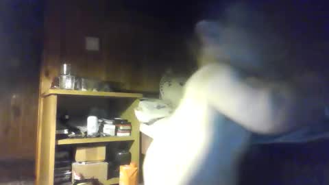 Snapshot of smalldream666 chatting on 10/09/25, 06:28 PIST PIST online show from 10/09/25, 06:28