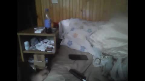 PIST PIST online show from 11/17/25, 07:14