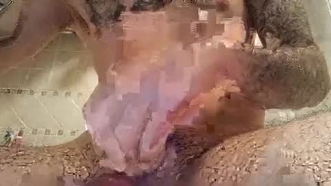 smallone8825 online show from 03/10/25, 06:27