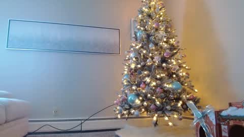 Smexy online show from 12/01/24, 05:24