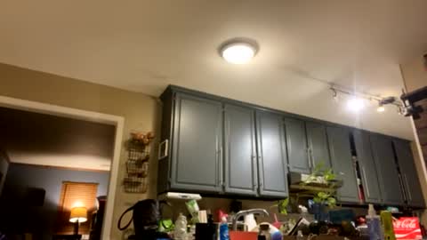 Snapshot of smokeymt420 chatting on 02/09/25, 09:37 smokeymt420 online show from 02/09/25, 09:37