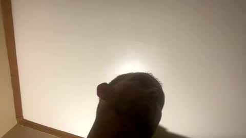 Snapshot of smokeymt420 chatting on 03/08/25, 06:54 smokeymt420 online show from 03/08/25, 06:54