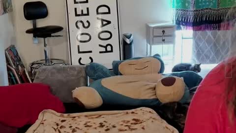 Big Dawg online show from 10/12/25, 08:52