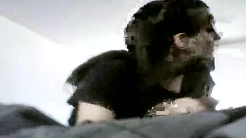 Snapshot of sn0wman071 chatting on 06/20/26, 06:22 sn0wman071 online show from 06/20/26, 06:22