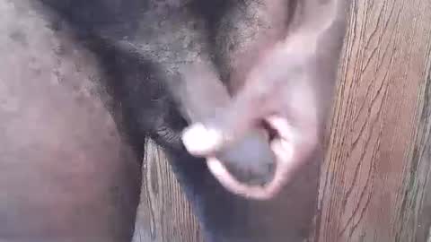 snkr1244 online show from 09/13/25, 06:29